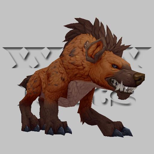 Hyena2_Orange